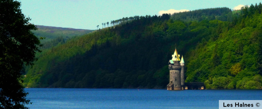 les-halnes-lake-vynwry